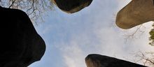 Tremenheere - David Nash - Black Mound