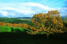 Autumn In The Lot Valley