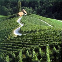 Slovenia Wine Road