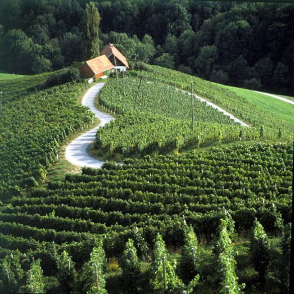 Slovenia Wine Road