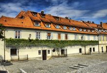 Old Vine Of Maribor
