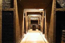 Cellar In Goriska Brda