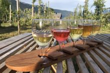 Pure Adventures' Norway 'Trail to Table' active culinary tour. 