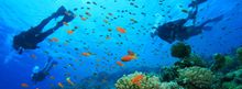 Scuba diving at Bibo Sands