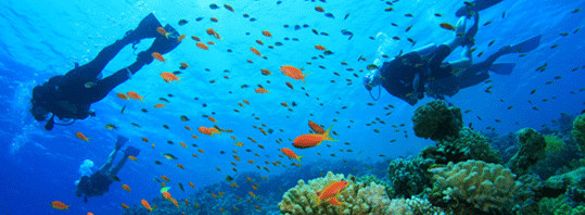 Scuba diving at Bibo Sands