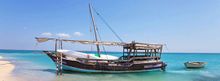 Dhow day trips