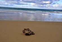 The beautiful sea