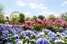 Floriade