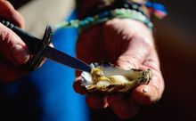 Oysters courtesy of Captain Sponge's Magical Oyster Tour 