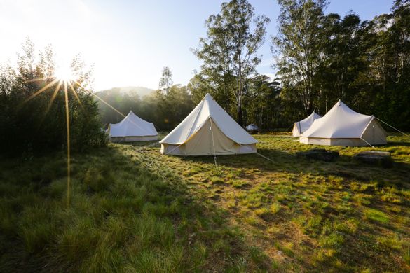 The ultimate family sleepover – A Wild Night Out at Tidbinbilla
