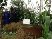 Rockford Garden Wins Gold Medal And Best Garden In Show At Malvern Autumn Show