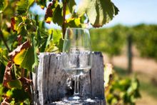 Lancaster Wines, Swan Valley