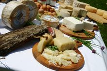Cheese