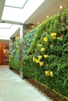 Public Area -Living wall