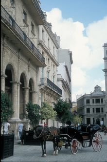 Cuba Skyros Horse - Habana