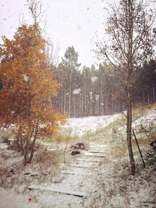 Autumn colour and snow in Breck