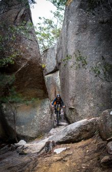 Blue Derby Mountain Bike Trails