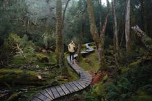 Walking the Knyvet Falls Track