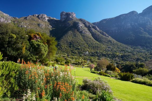 Gardens at Kirstenbosch