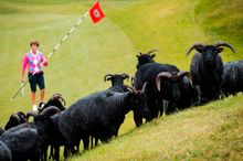 VisitScotland