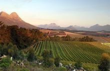 Delhiem Wine Estate