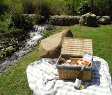 Picnic basket