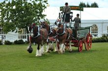 Nottinghamshire County Show