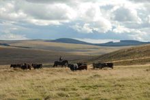 On the high moor