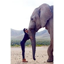 Rihanna and Elephant