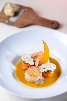 Pan-seared Scallops, Pumpkin & Tartufi di Alba