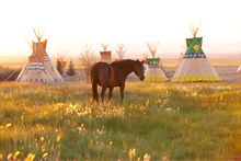 Mustang Monument\'s accommodations are luxury tipis set on 900 squares of scenic beautify in Northeastern Nevada.