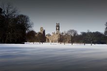 Carlton Winter