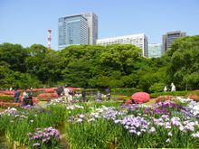 Imperial Palace Gardens Tokyo