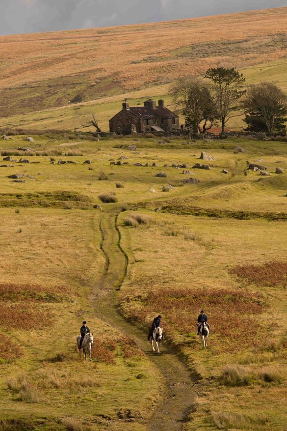 Narracott Farmhouse War Horse 