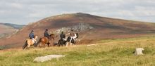 Liberty Trails Dartmoor 