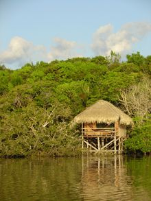Amazon Jungle lodge