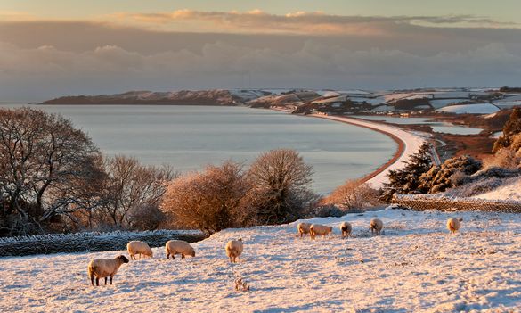 Strete in snow by Nick Shepherd