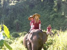 Spending a day with rescued elephants