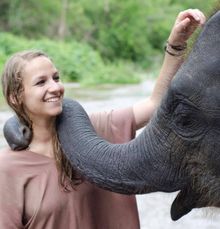 AdventureHoney elephant tour