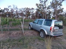 Discovery Wine Tour