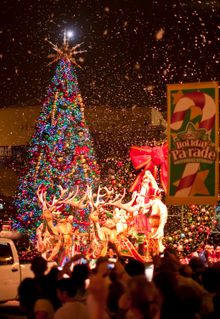 Tree Lighting At UOR