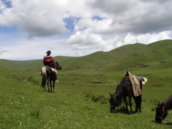 In The Saddle High Plateau Ride Tibet