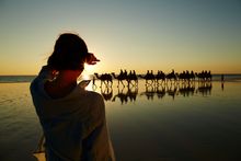 Camel Train On Cable Beach Broome Western Australia 