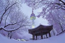 Snow Scene at Seoul Tower