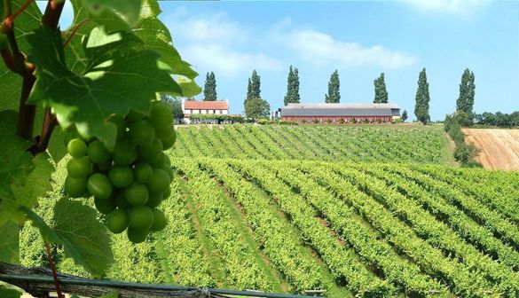 Three Choirs Valley View