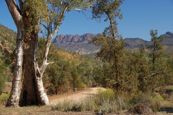 Flinders Ranges, South Australia