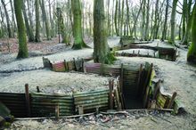 WWI Trenches, Sanctuary Wood, Belgium