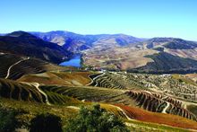 Landscape Of The Douro River