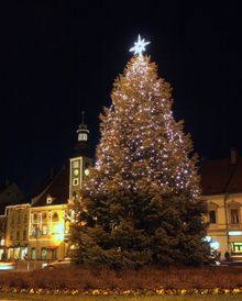 Maribor Christmas Tree