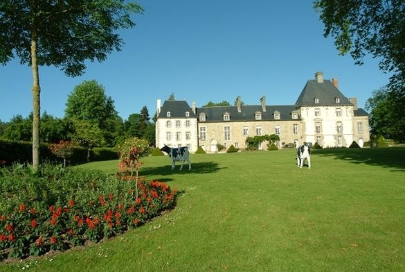 Chateau des Ormes